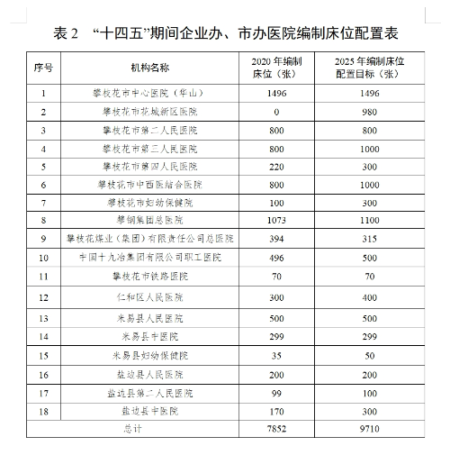 攀枝花市人民政府办公室关于印发攀枝花市“十四五”医疗卫生服务体系规划的通知